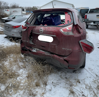 Car that has been hit with kennel in the back