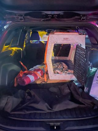 Ruff Land Kennel in back of car