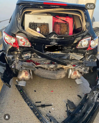 Kennels saved in back of car