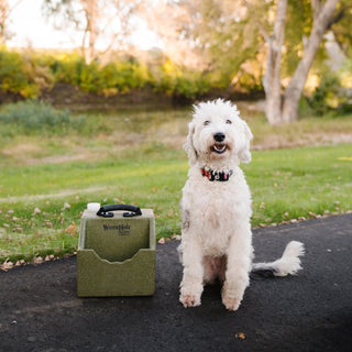 Lifestyle outdoor photo of RuffLand® Olive Drab WaterHole™ with a golden doodle