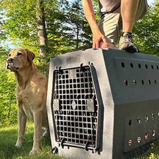 RuffLand Kennels Features RuffFlex