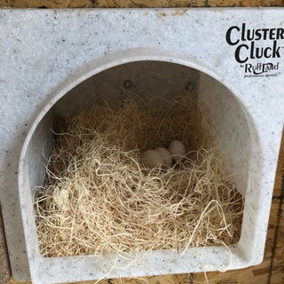 Close-up of a Cluster Cluck™ chicken coop with nest material and eggs inside, demonstrating its functionality as a safe space for birds.
