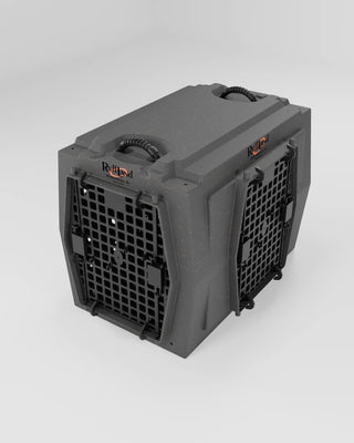 Intermediate Kennel