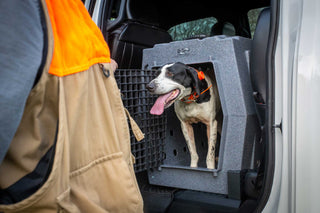 Pointer in Ruff Land Kennel in the backseat of a truck