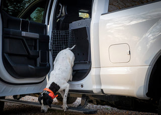 Dog getting out of kennel in the back seat of truck