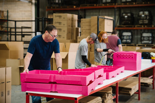 RuffLand Kennels staff building hot pink kennel