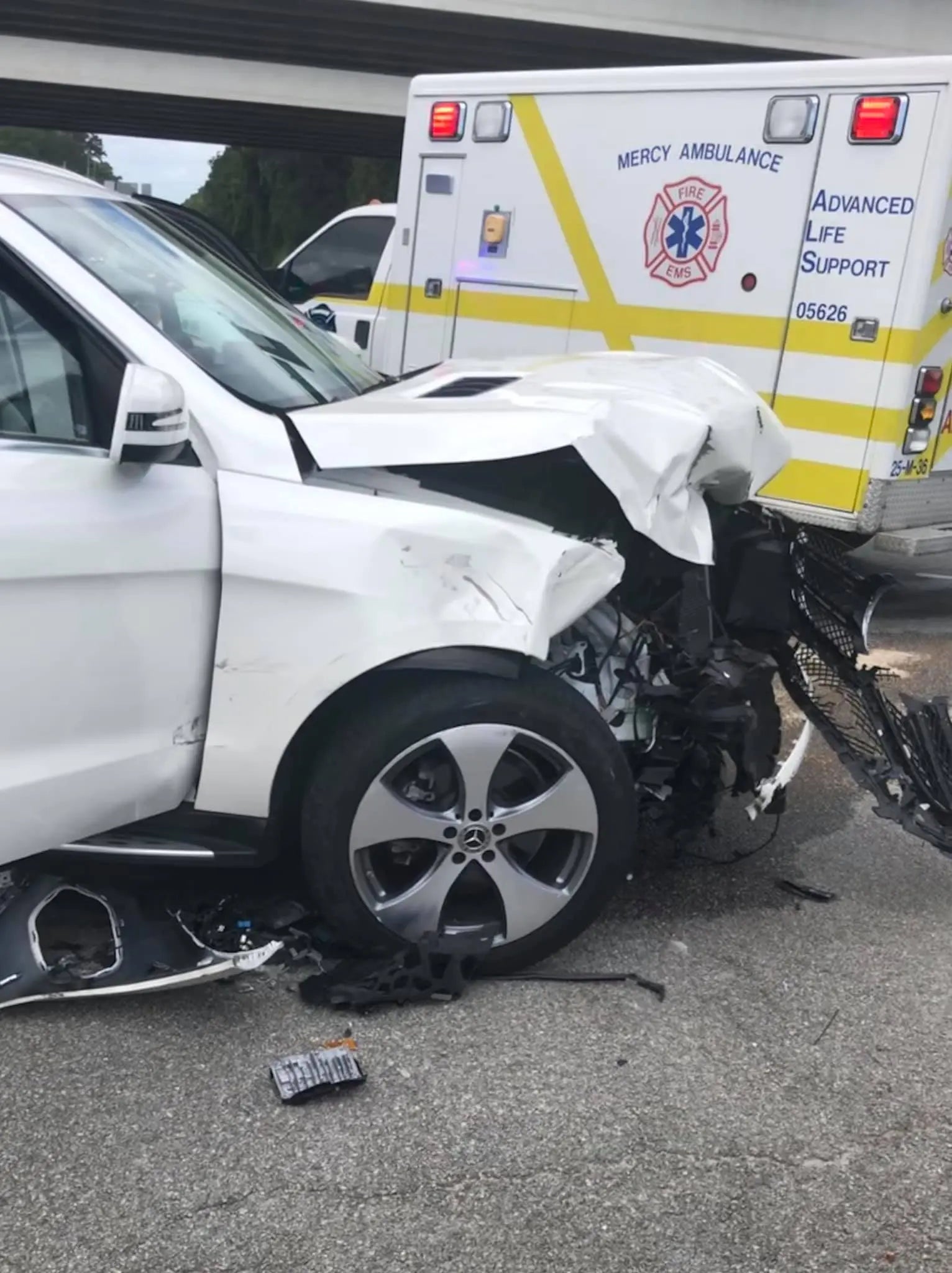 RuffLand® Kennel Protects Dog in Severe Car Crash - RuffLand ...