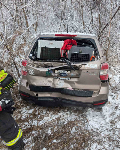 Rear-End Collision Puts RuffLand® Kennels to the Ultimate Test ...