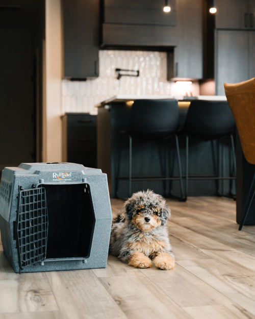Small Kennel - RuffLand® Performance Kennels