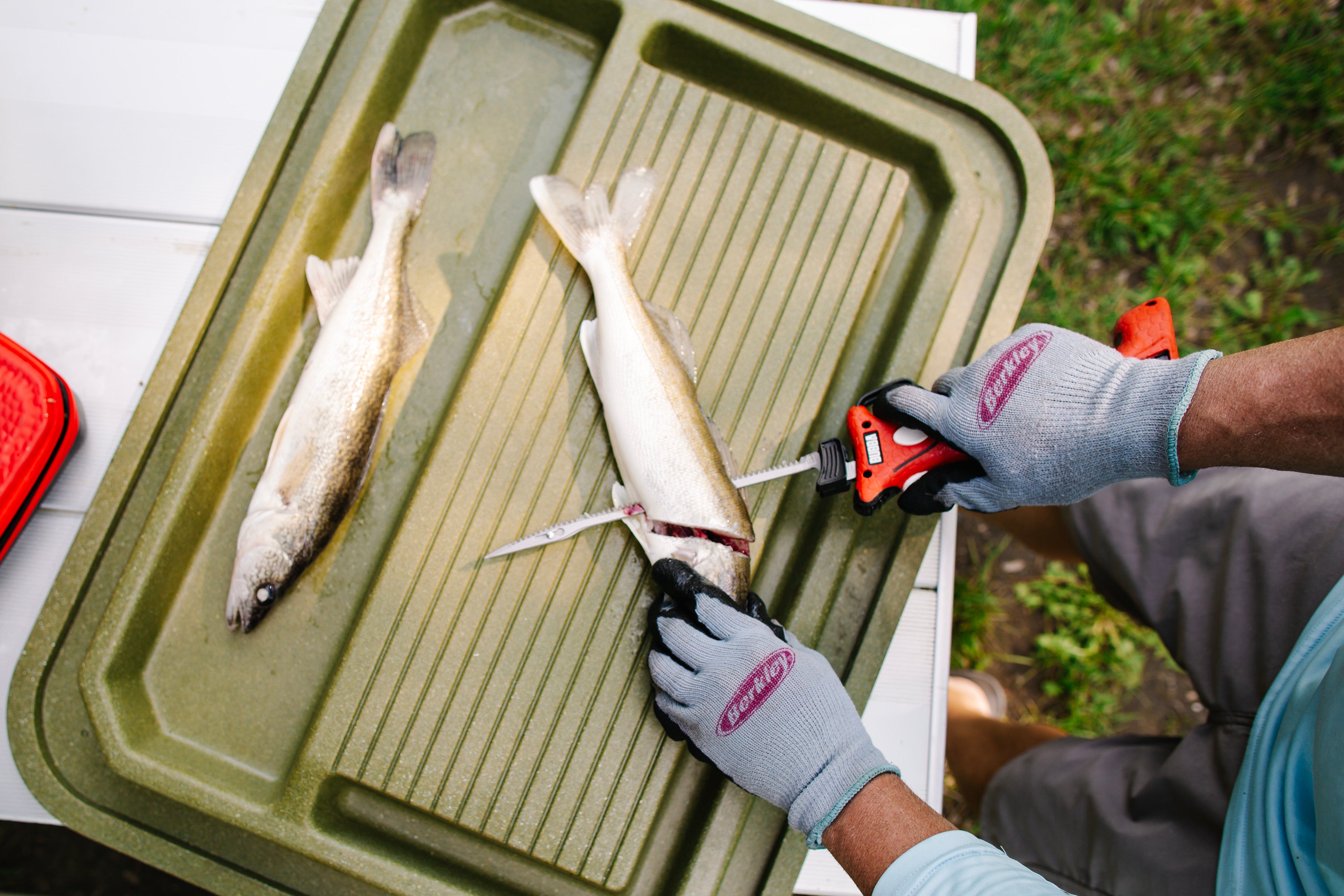 fish filleting accessories Clean Cut® Station – Fish Cleaning & Game Prep Made Easy