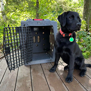 Black dog standing next to RuffLand® Kennel with kennel divider 