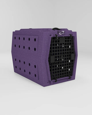 Intermediate Kennel