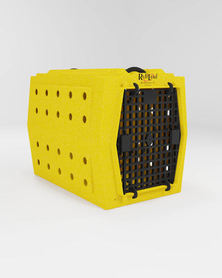 Intermediate Kennel