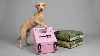 Chow Box™