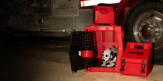 Red pet travel crate with a dog inside, attached to a vehicle.