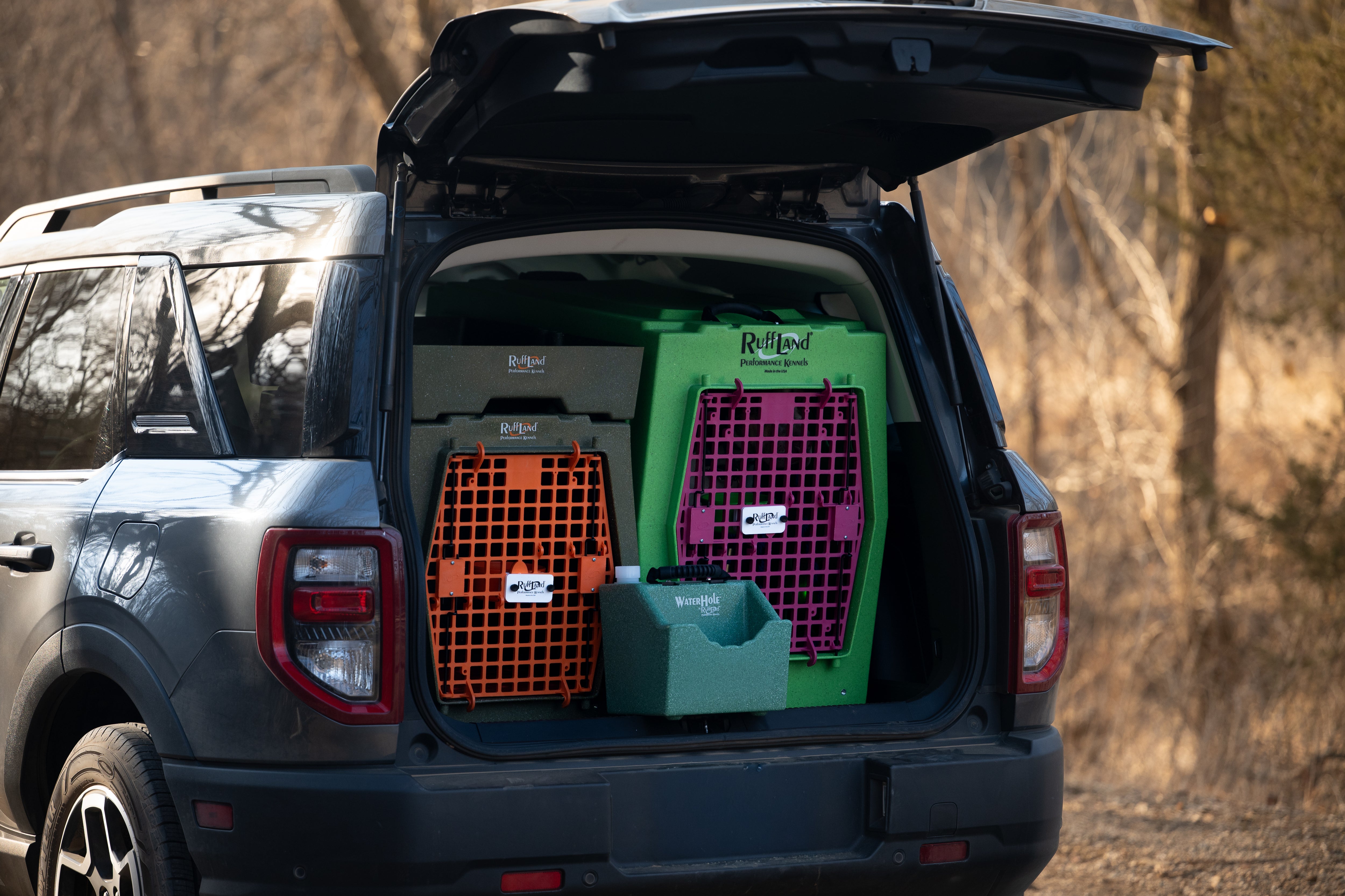 Dogs and the outdoor community